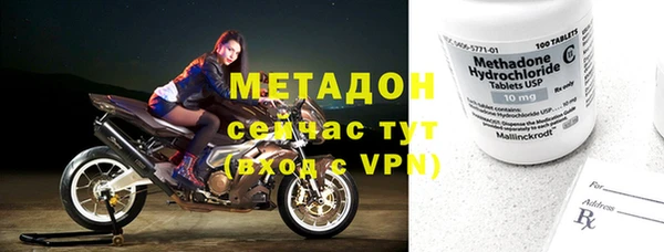 индика Козельск