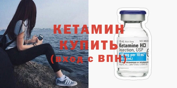 индика Козельск