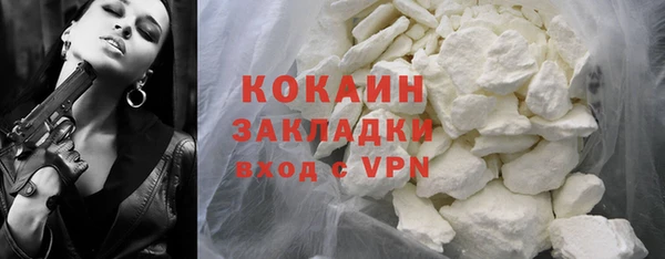 индика Козельск