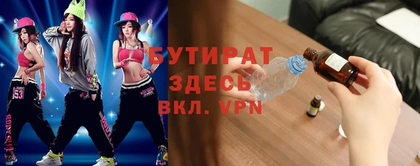 индика Козельск