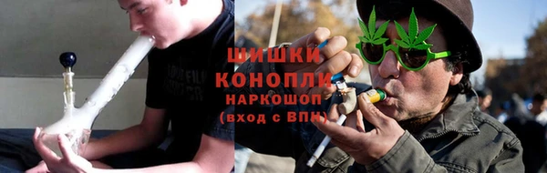 индика Козельск