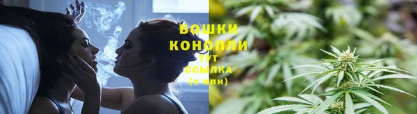 индика Козельск