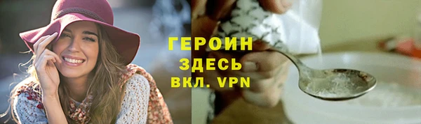 индика Козельск