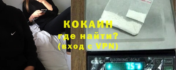 индика Козельск
