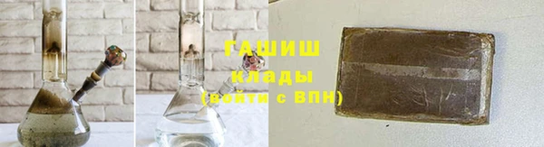 индика Козельск