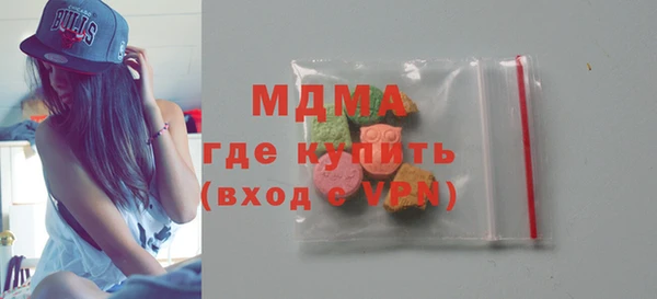 индика Козельск