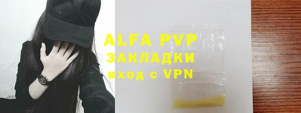 индика Козельск