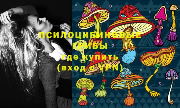 скорость Козловка