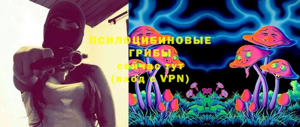 скорость Козловка
