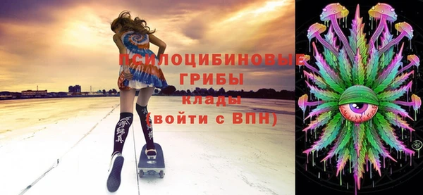скорость Козловка