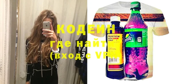 индика Козельск