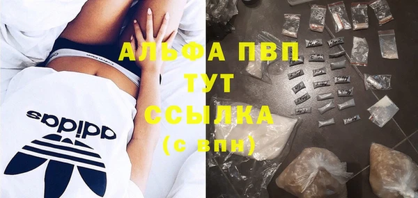 индика Козельск