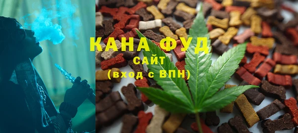 индика Козельск