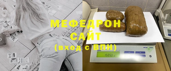 индика Козельск