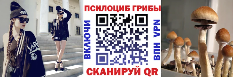 Купить  Шуя  Псилоцибиновые грибы Magic Shrooms 