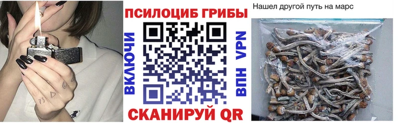 Галлюциногенные грибы Psilocybine cubensis Шуя